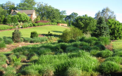 Fabco Filters Can Enhance Rain Garden Performance for More Efficient Green Infrastructure Water Quality Results