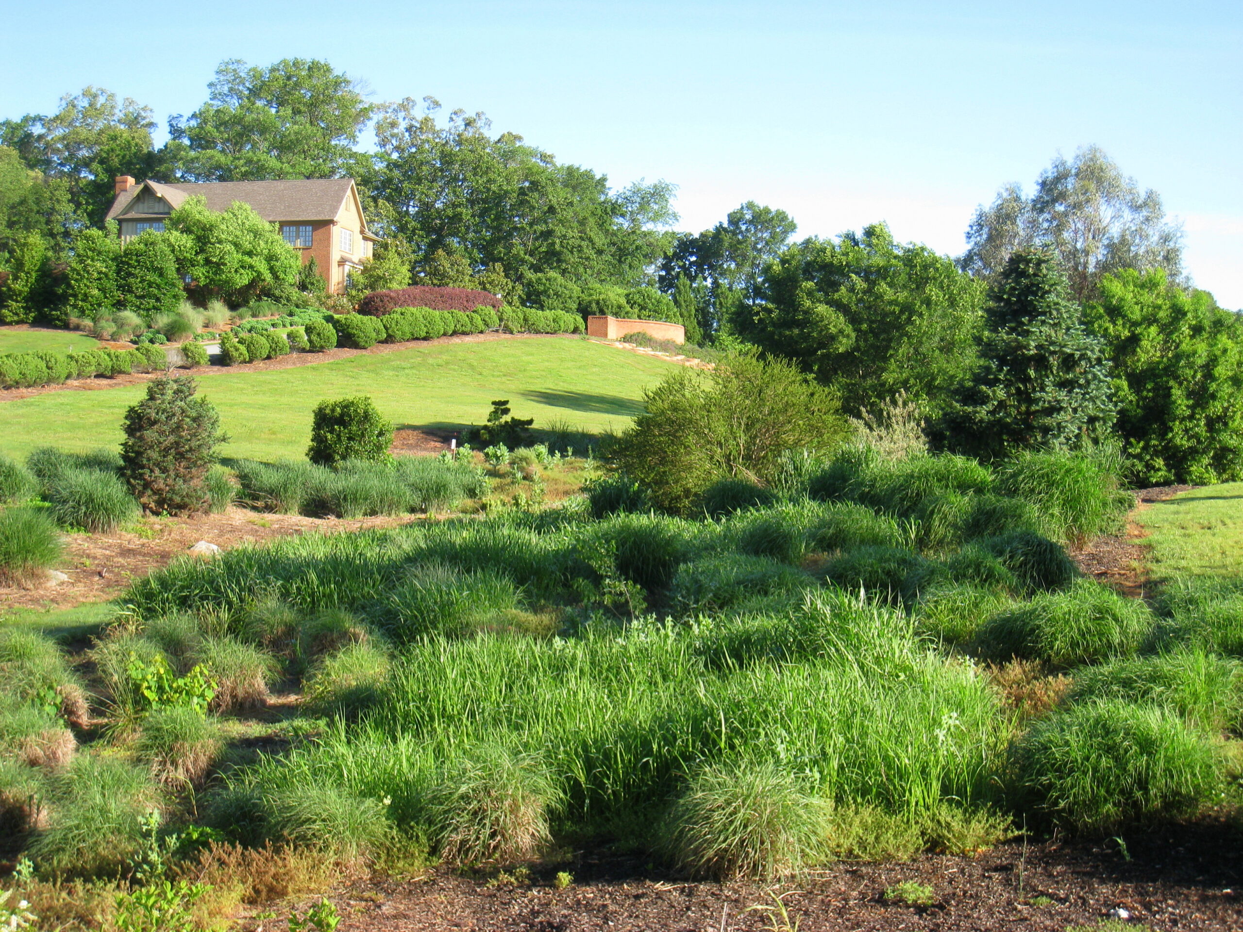 Green infrastructure