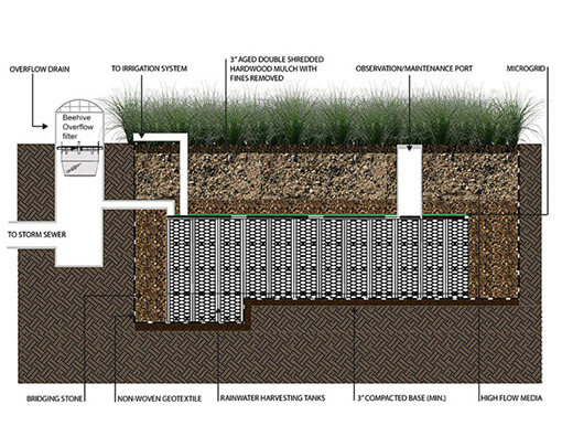 focalpoint biofiltration green infrastructure system cutaway diagram