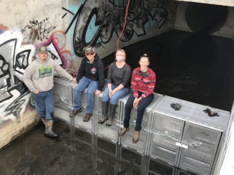 new-stormwater-flume-filter-pilot-program-in-adam-s-county-colorado