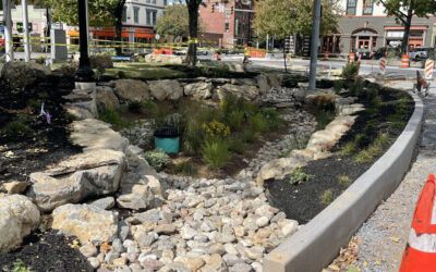 Green Infrastructure and the Power of Pretreatment in Stormwater Management